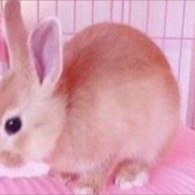 Juliette (juliettesnk) Header Photo Added 2025-10-24