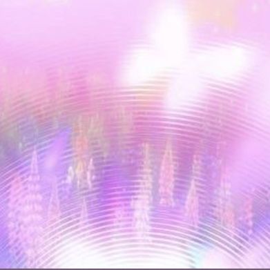 bec (becxause) Header Photo Added 2025-06-24