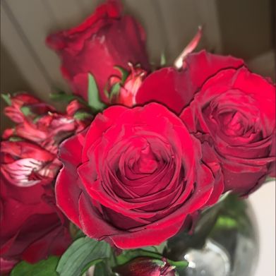 Autumn Lust (autumnlust69) Header Photo Added 2025-07-27