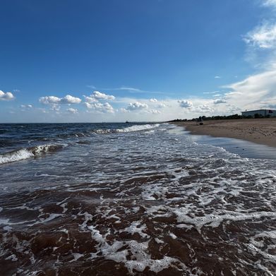 Gu (guzay) Header Photo Added 2025-08-28