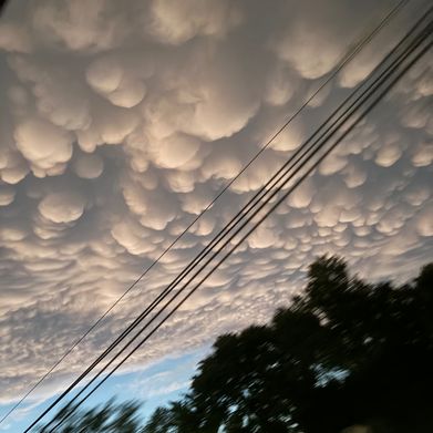 Molly (mommykazi) Header Photo Added 2024-09-02