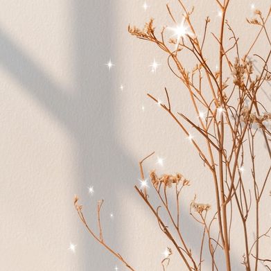 Sely💕😻 (jennselyy) Header Photo Added 2024-06-02