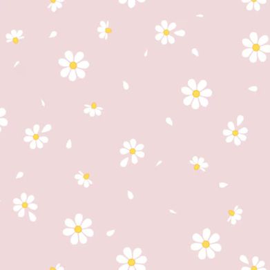 mia🌹 (miafrose) Header Photo Added 2025-03-28