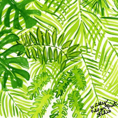 ᗷᗩ𝗂🫧🐠 Added Photo on 2024-12-11