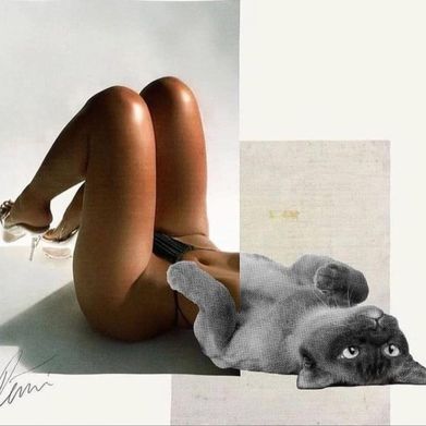 Prtzn_free (prtzn_free) Header Photo Added 2024-07-30