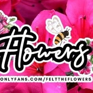 flowers (づ ◕‿◕ )づ (felttheflowers) Header Photo Added 2025-10-10