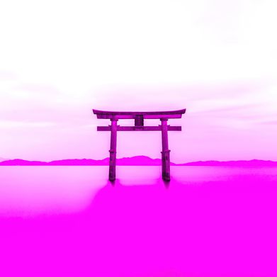 Peachy🍑Kitty (peachy_kitty) Header Photo Added 2025-02-28