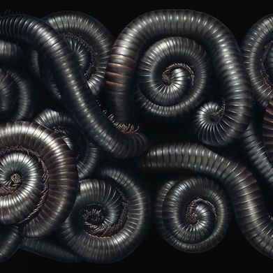 Jenna Leigh Added Photo on 2025-01-29