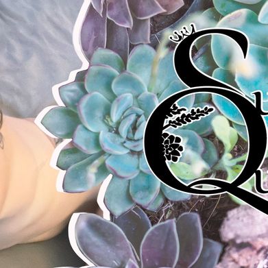 Succulent Queen 👑 (queensucculent) Header Photo Added 2024-05-28