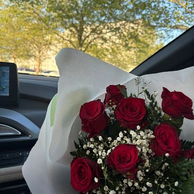 Hedda (nea.07) Header Photo Added 2025-07-10