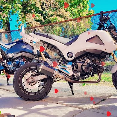 Lola Added Photo on 2025-01-23