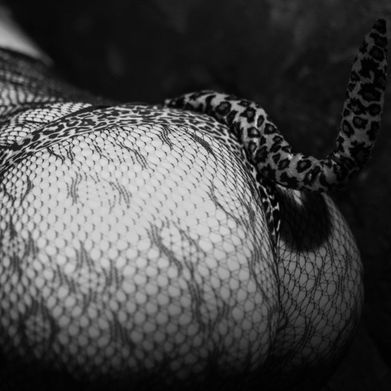 X.XŁæGŕAŅDəX.X (jazzlegrande) Header Photo Added 2024-09-13