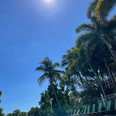 Sinfully blessed (sinfully.blessed) Header Photo Added 2025-04-18