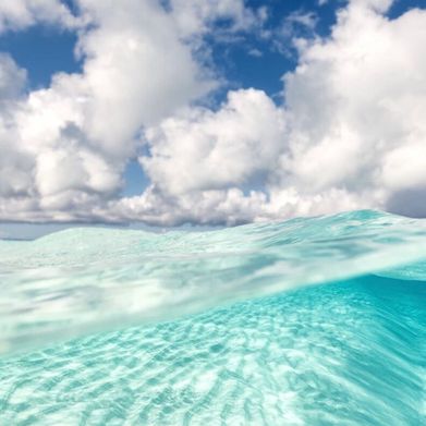 ᗷᗩ𝗂🫧🐠 (lilmermaidxx) Header Photo Added 2025-11-10