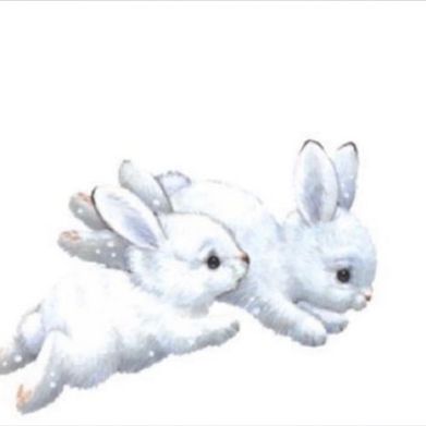 bnuuy ✧.* (bnuuygirl) Header Photo Added 2024-08-28