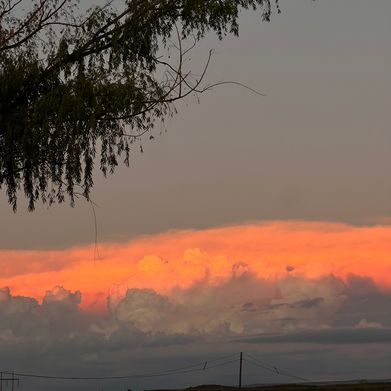 Laura (u501198715) Header Photo Added 2025-05-27