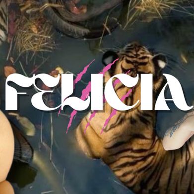 Félindra 🐅 (wildfelindra) Header Photo Added 2025-08-02