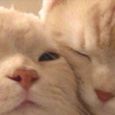 Lana (lanawifeyyy) Header Photo Added 2025-10-10