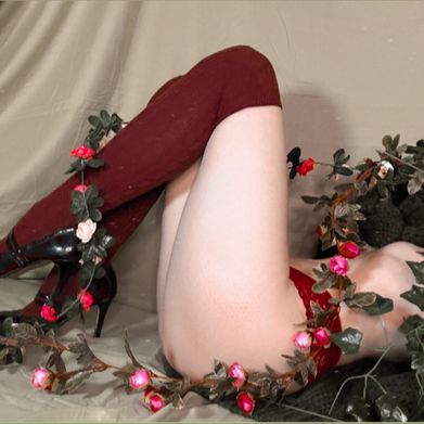 Rose💋 (toadalie) Header Photo Added 2025-02-19