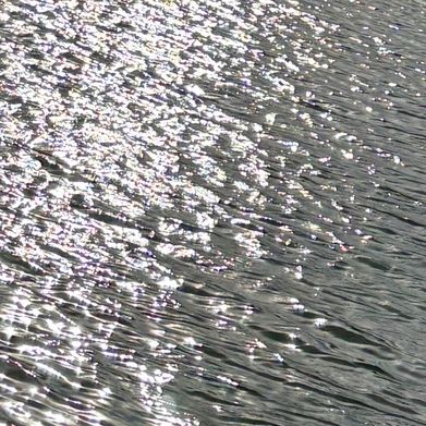 Header Image (alice_chalice) Header Photo