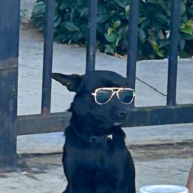 Brittany XXX (brittanybbyx) Header Photo Added 2025-07-01