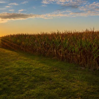 Midwest Tease XO (midwestteasexo) Header Photo Added 2025-08-12