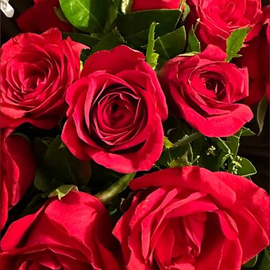 Anne Nakamura (u499504304) Header Photo Added 2025-07-31