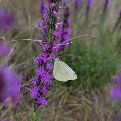 Egrace2023 (egrace2023) Header Photo Added 2024-10-15