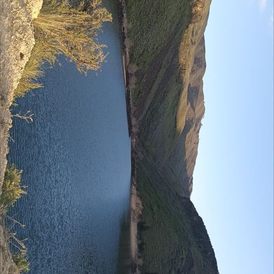 A baby (thickb420) Header Photo Added 2025-02-03