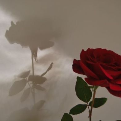 Sam ☽ (icellxviaa) Header Photo Added 2025-09-07