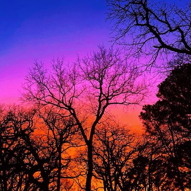 Betty 🍷Bordeaux (bettybordeaux) Header Photo Added 2025-03-11