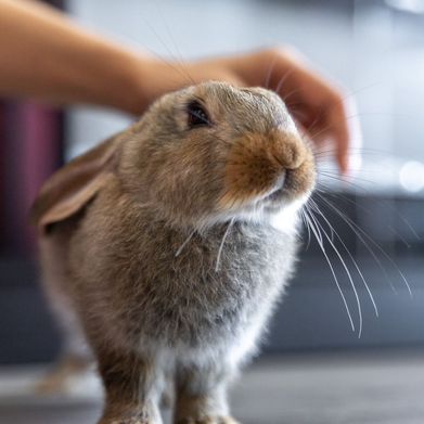 TsMirage (tsmiragepremium) Header Photo Added 2025-08-18