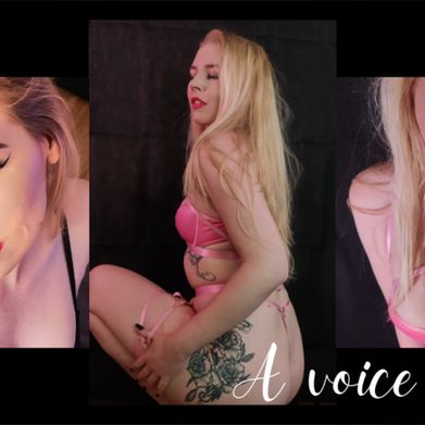 Voxxi (voxxib) Header Photo Added 2025-05-25