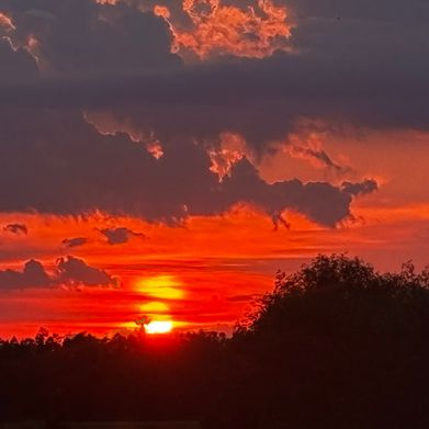 Mamacoco (mamacoco1) Header Photo Added 2025-08-19